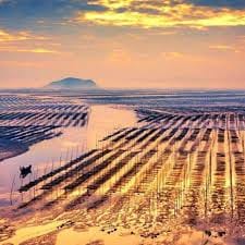 Sandy Andolong avatar